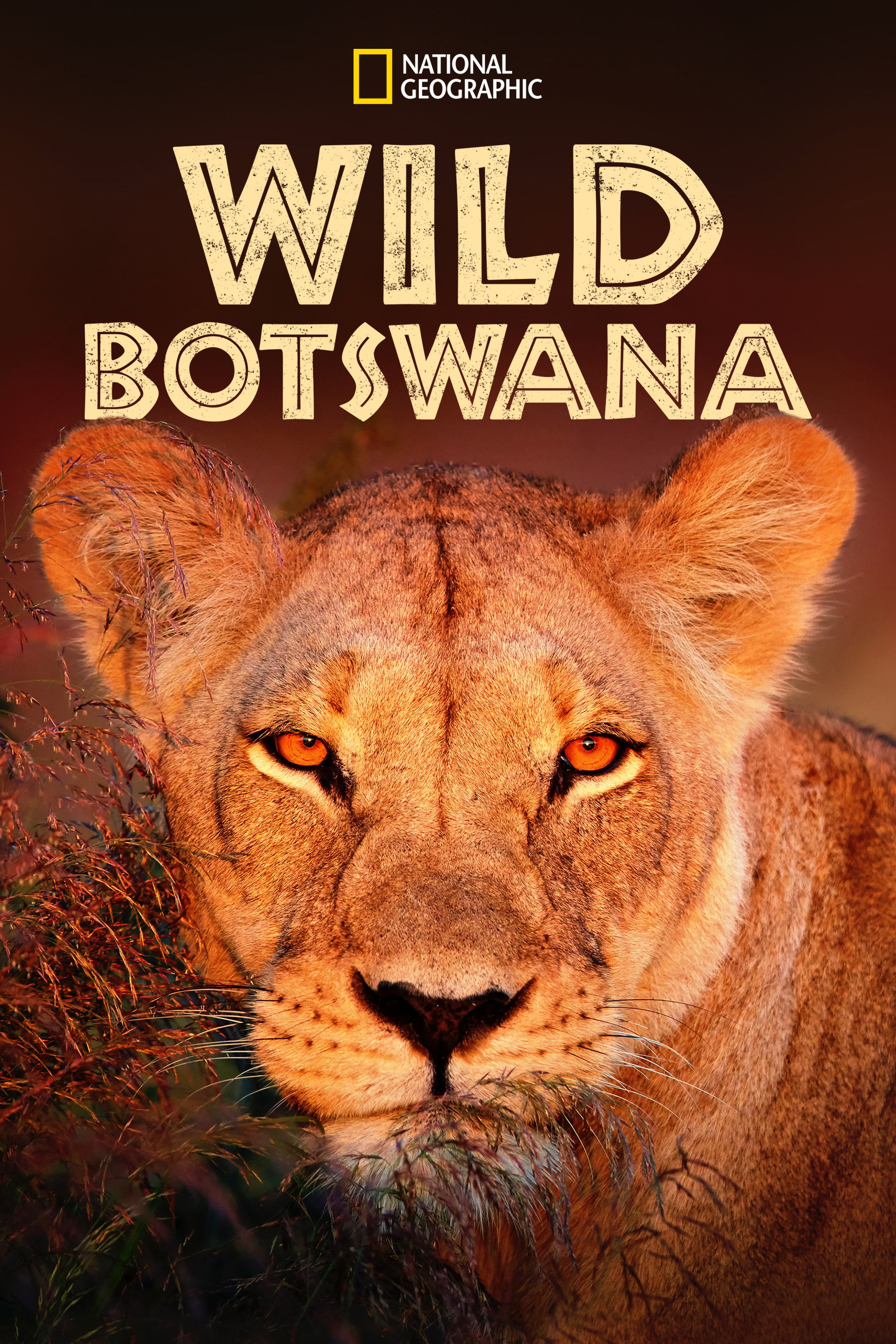 Wild Botswana (2018) poster