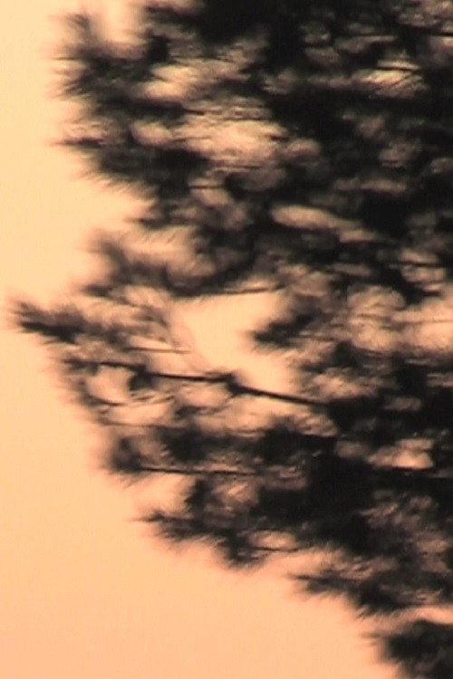 Tremblement (2009) poster