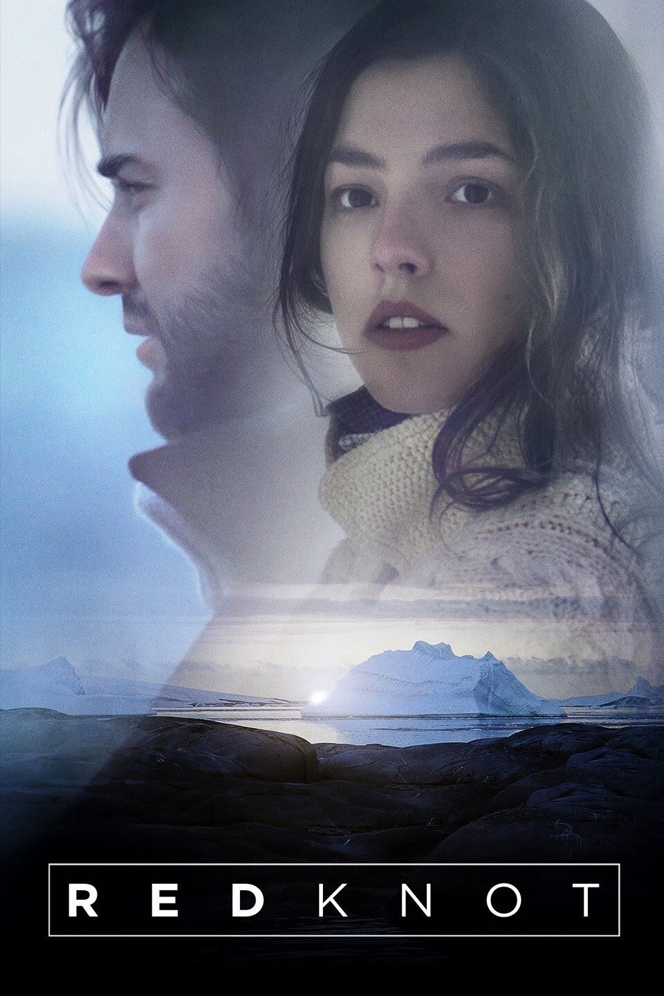 Red Knot (2014) poster