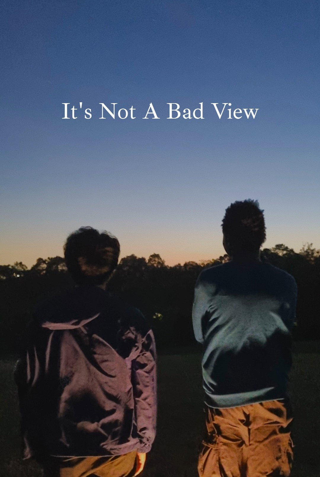 It's Not A Bad View (2025) poster