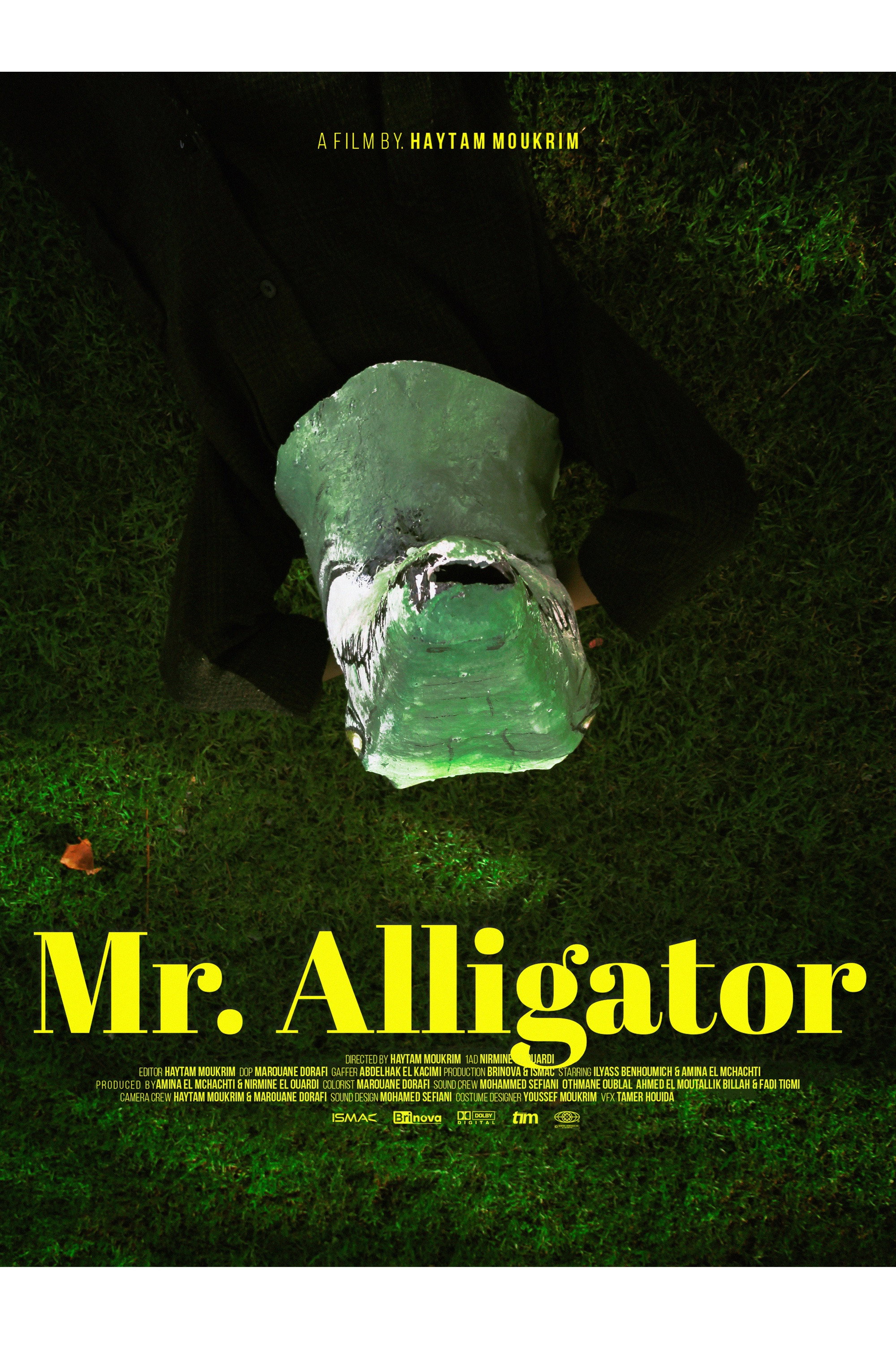 Mr. Alligator (2026) poster