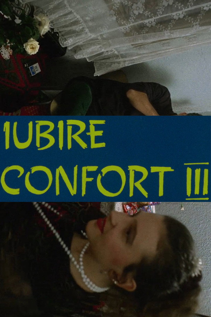Iubire confort 3 (1995) poster