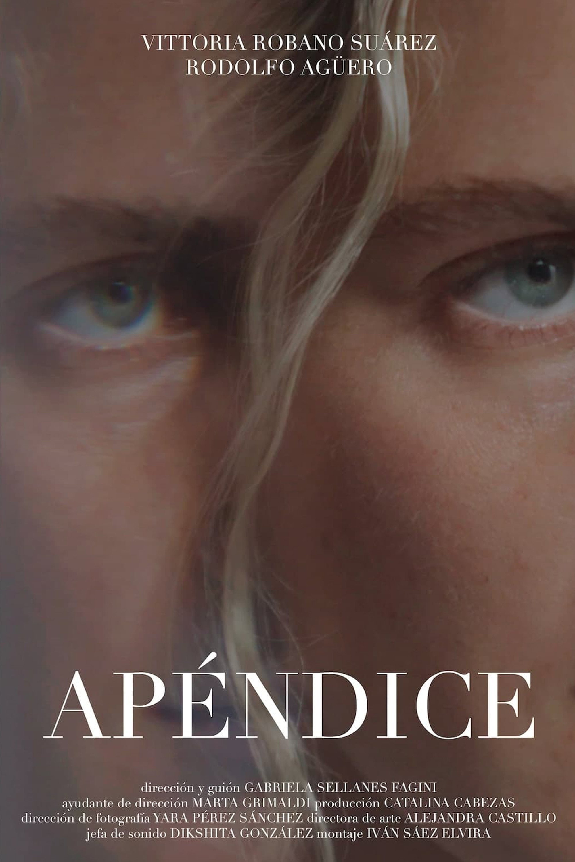 Apéndice (2026) poster