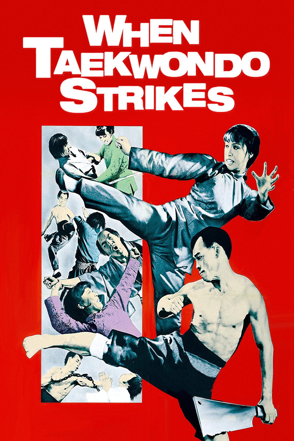 When Taekwondo Strikes (1973) poster