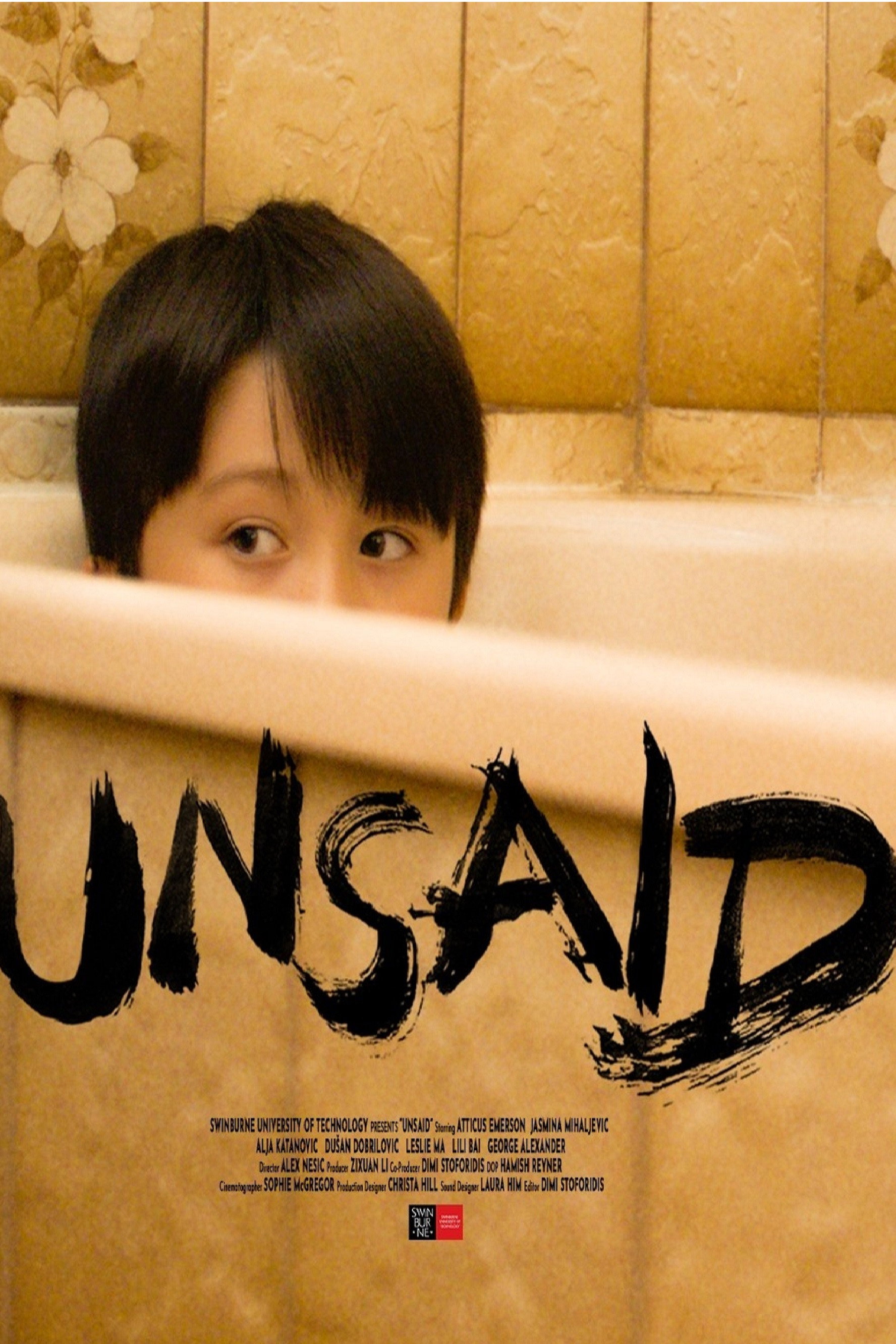 Unsaid (2026) poster