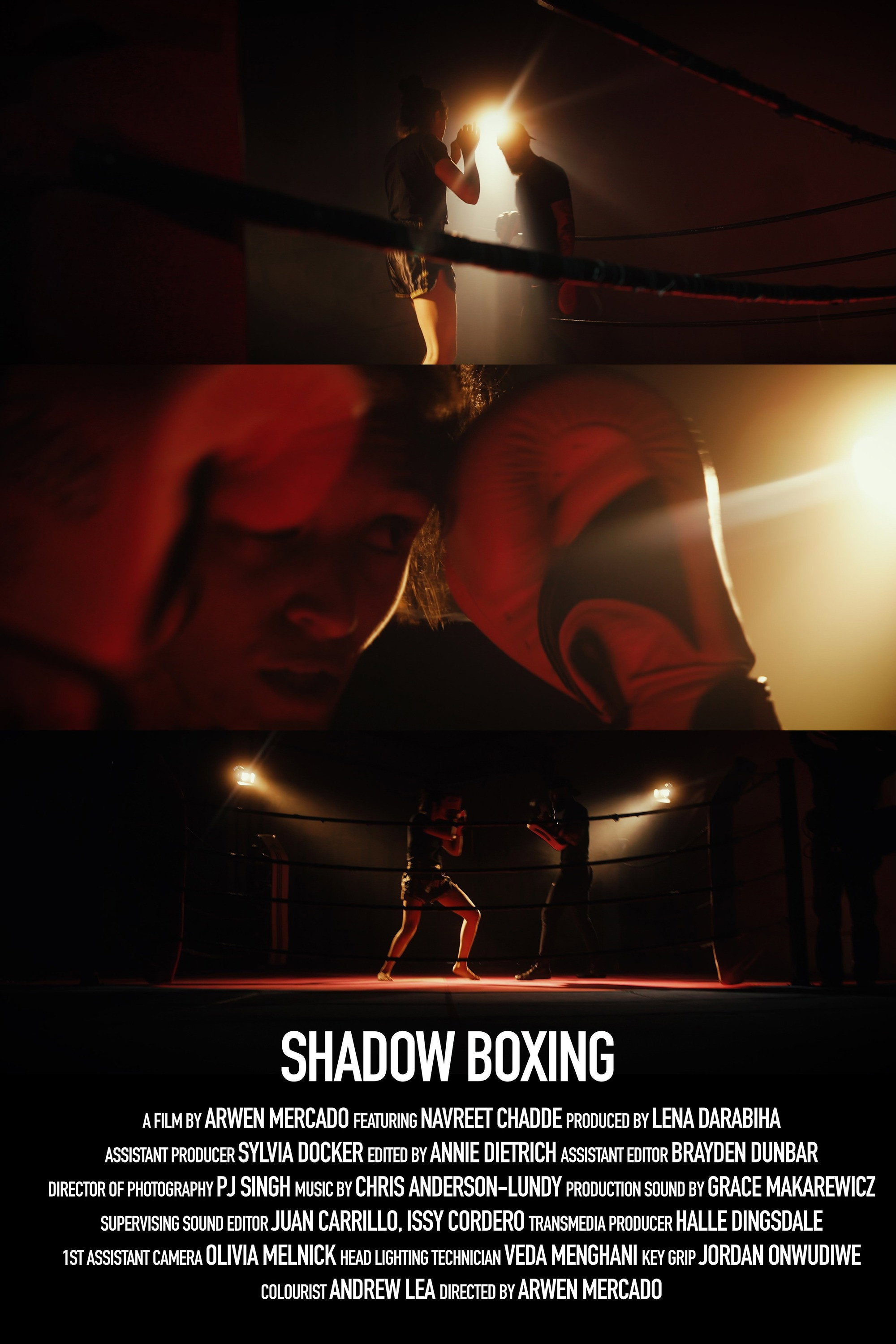 Shadow Boxing (2024) poster
