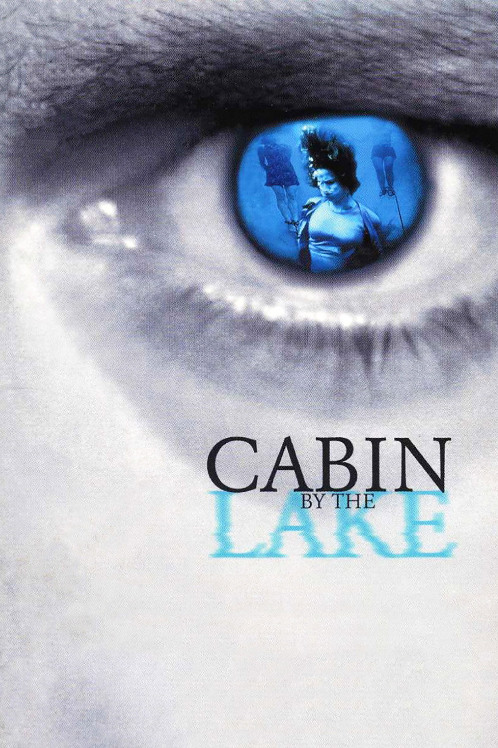 Cabin by the Lake (2000) poster