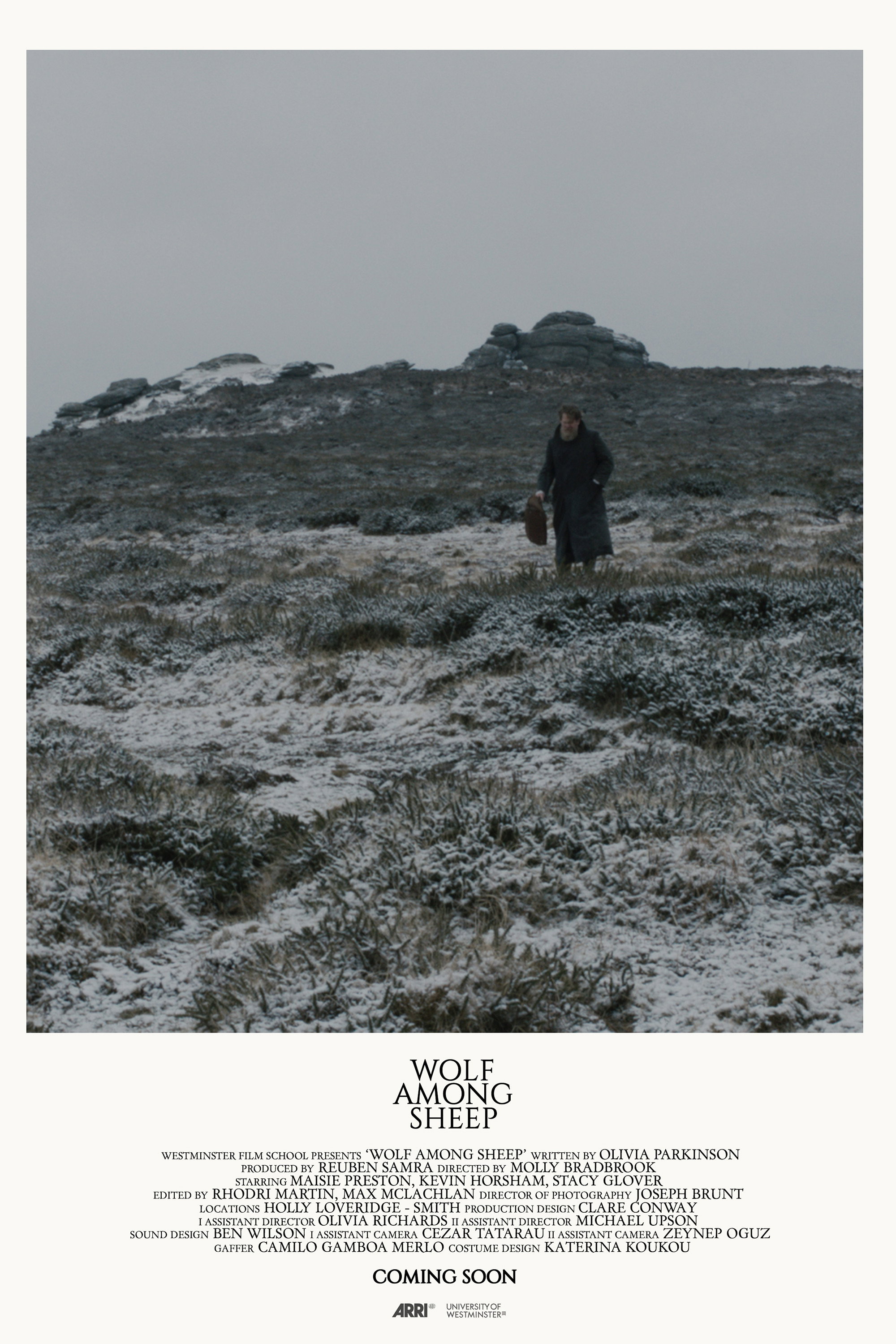 Wolf Among Sheep (2018) poster