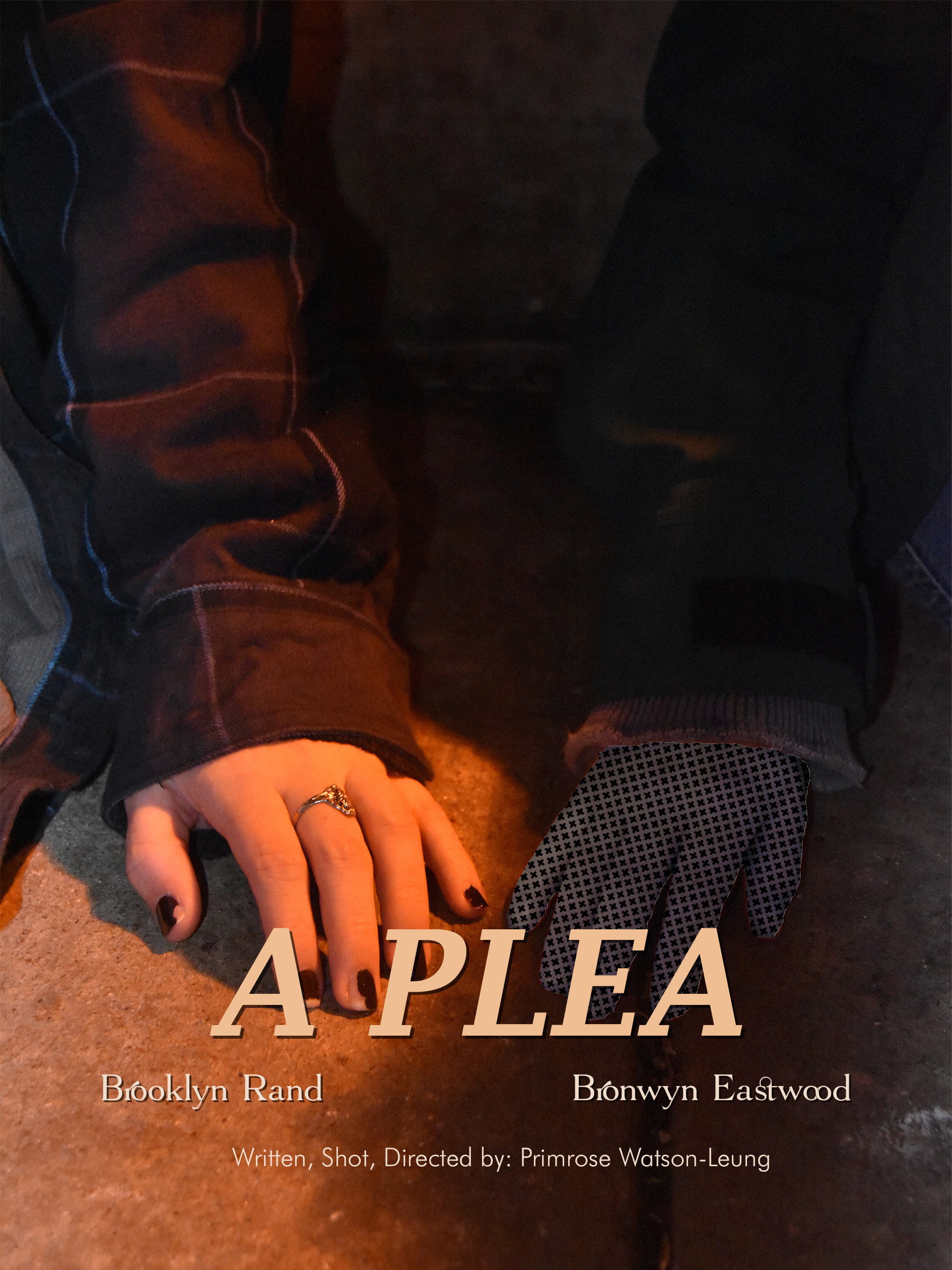 A Plea (2024) poster