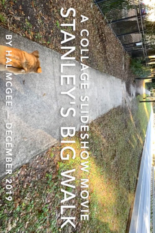 Stanley's Big Walk (2019) poster