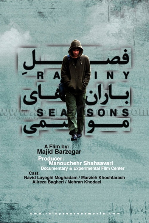 Rainy Seasons (2010) poster