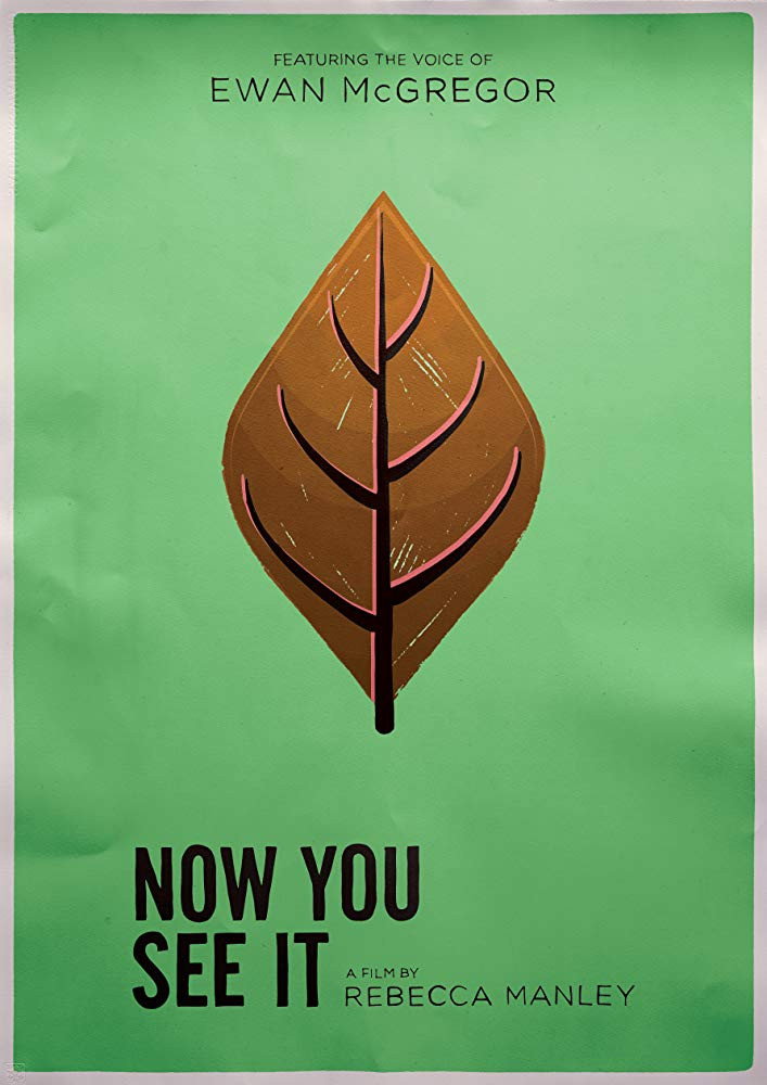 Now You See It (2017) poster