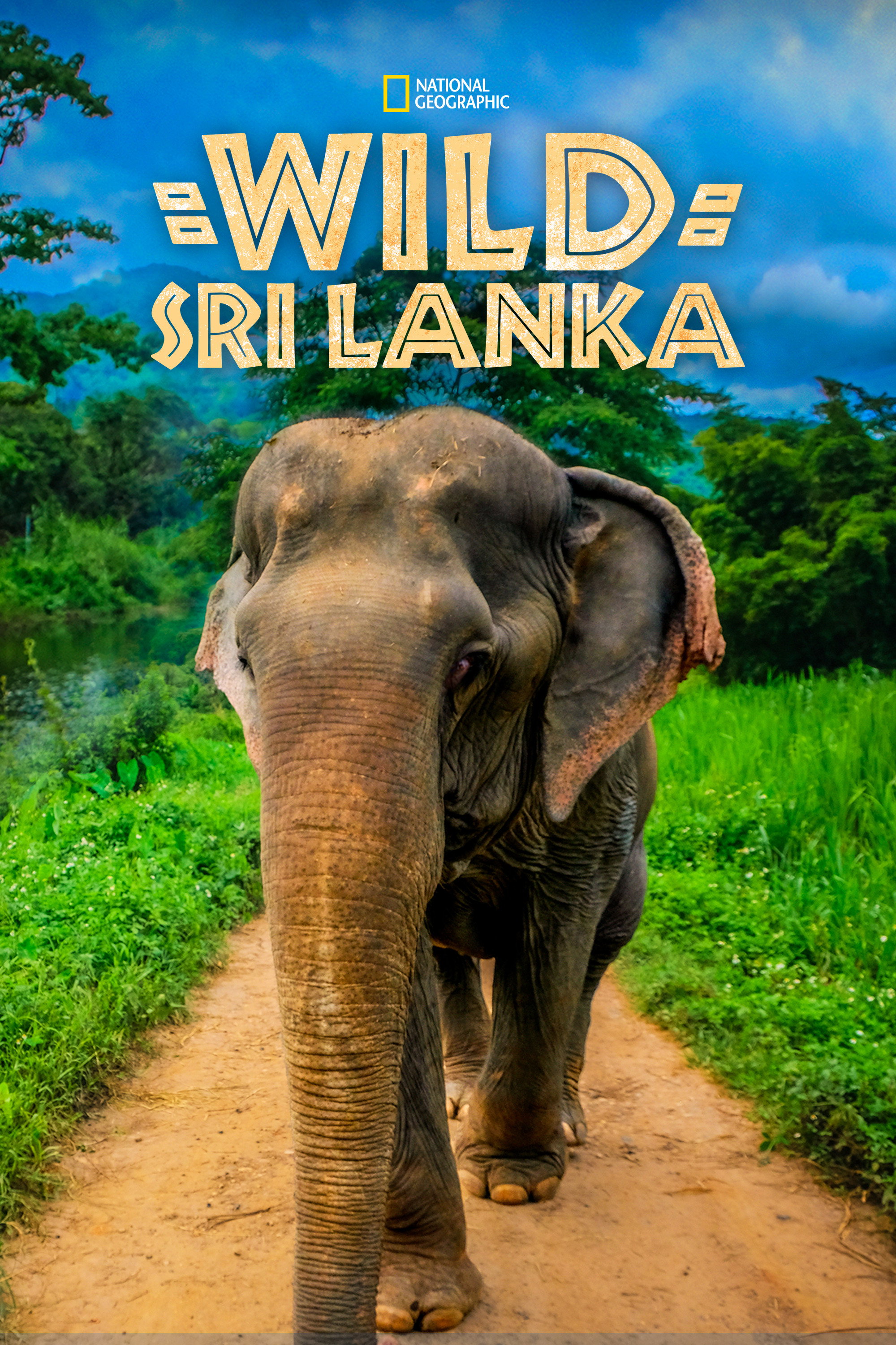 Wild Sri Lanka (2015) poster