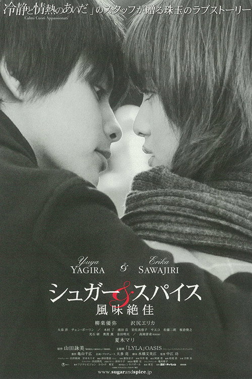 Sugar & Spice (2006) poster
