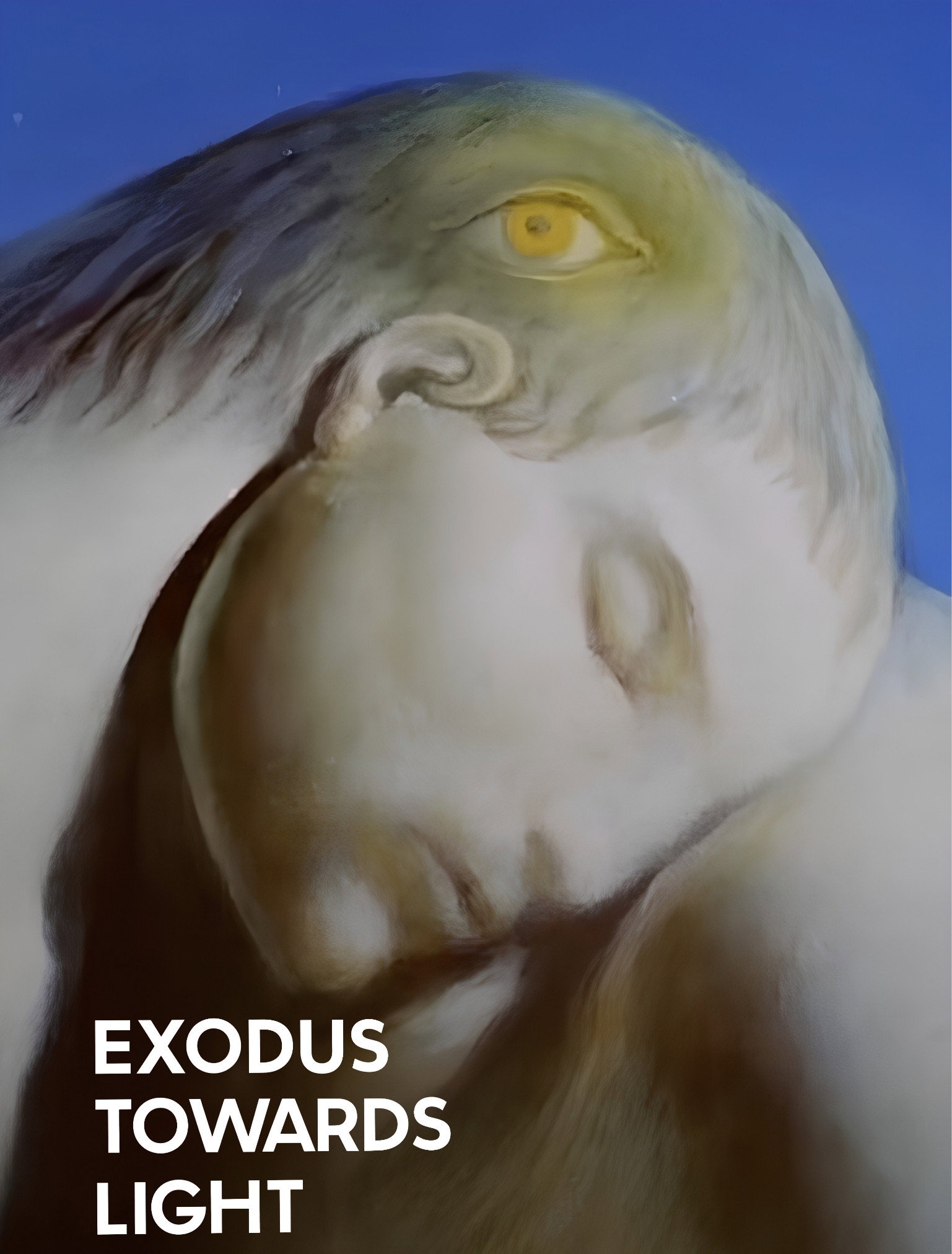 Exodus Towards Light (1979) poster
