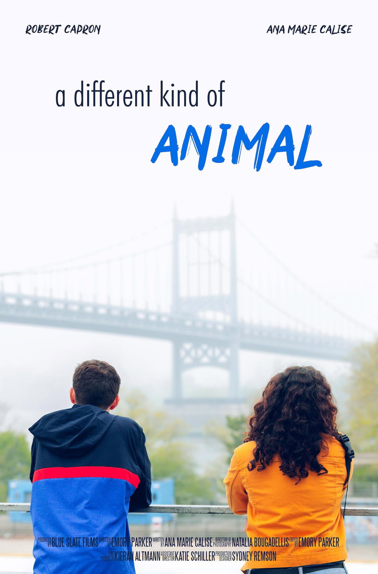 A Different Kind of Animal (2020) poster
