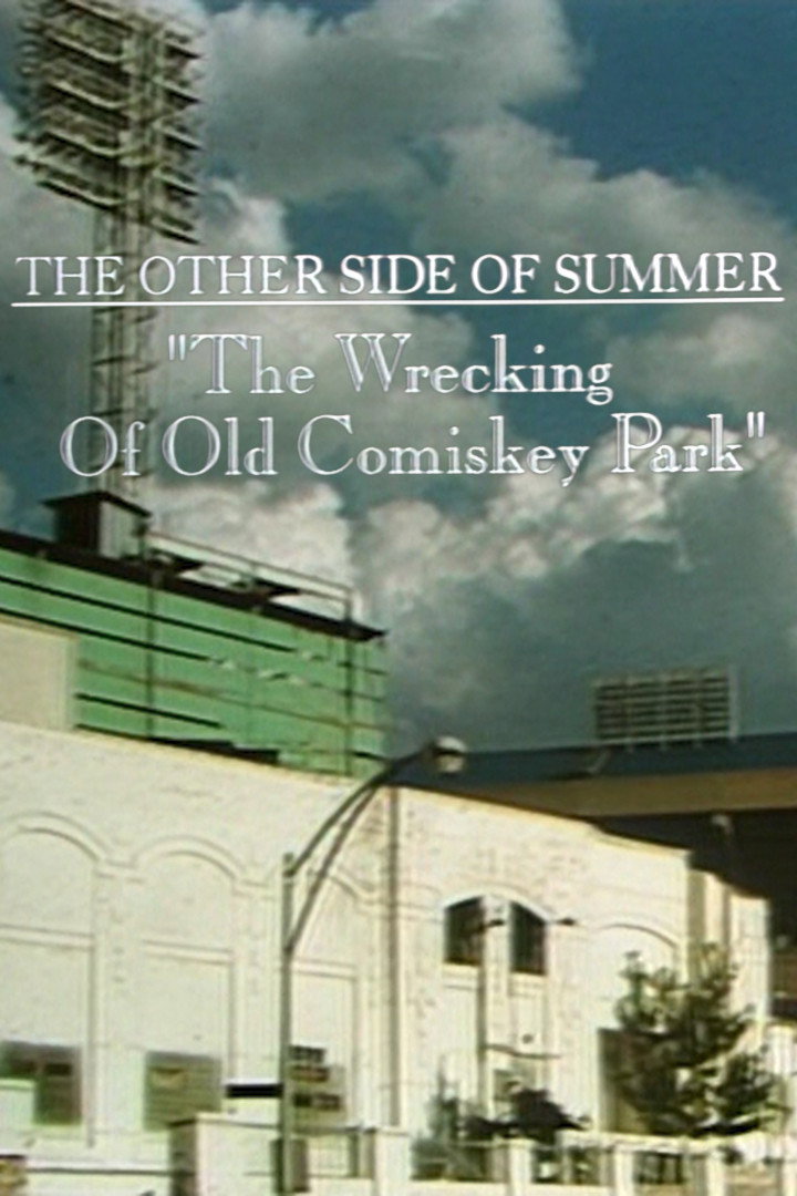 The Wrecking of Old Comiskey Park (1992) poster