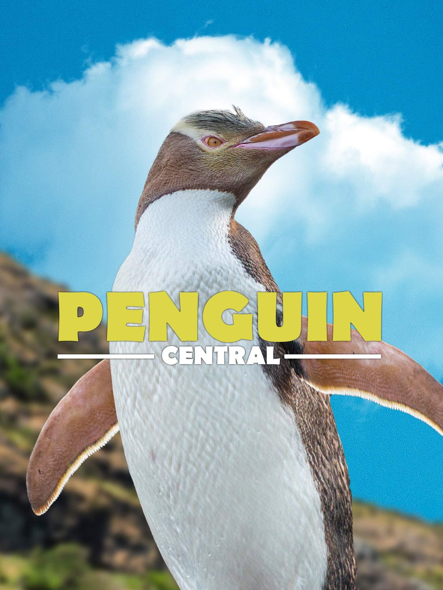 Penguin Central (2019) poster