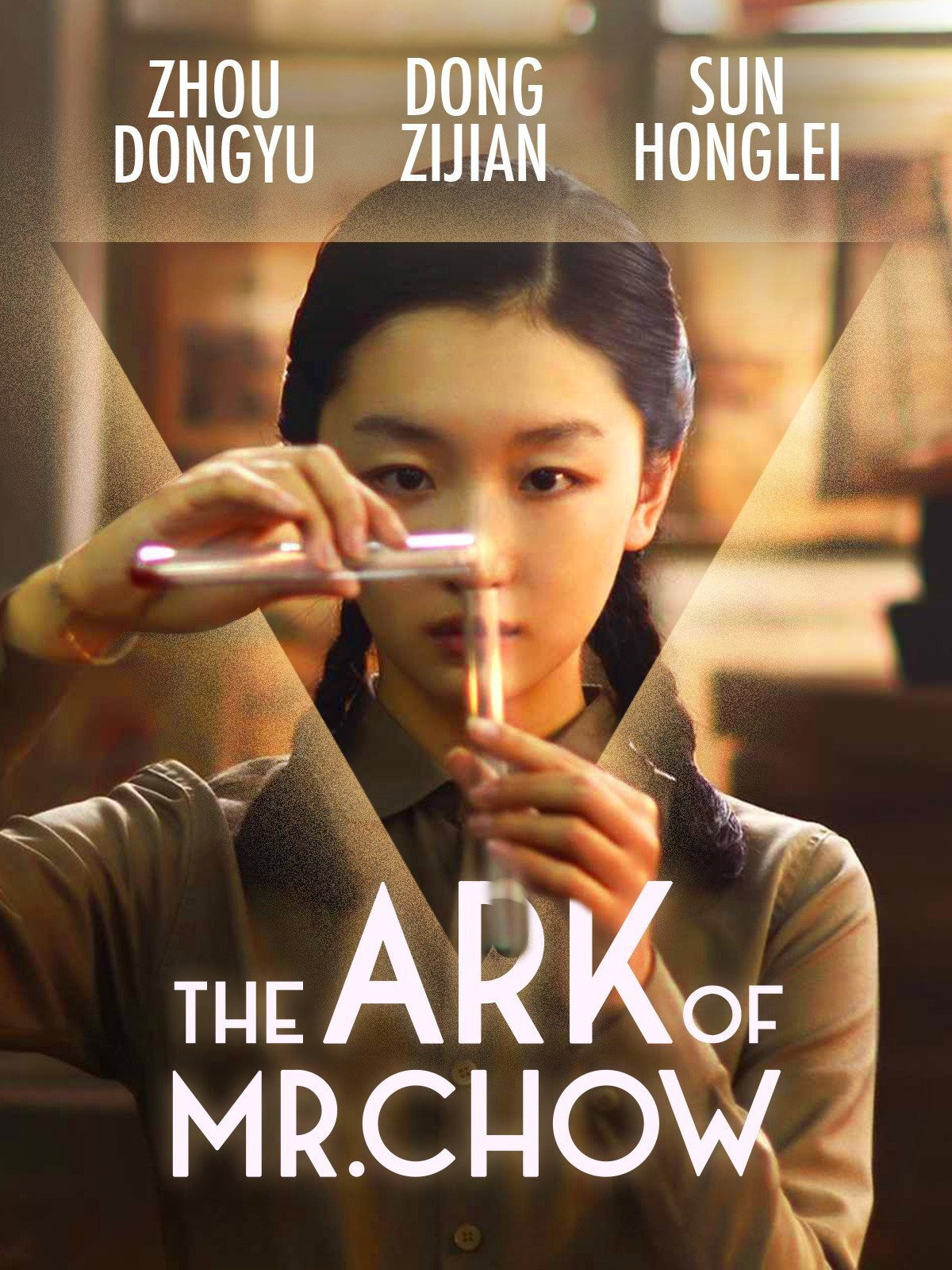 The Ark Of Mr. Chow (2015) poster