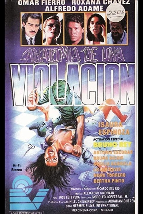 Anatomy of a Rape (1991) poster