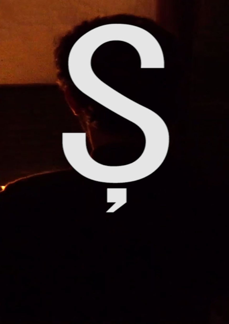 Ş (2026) poster