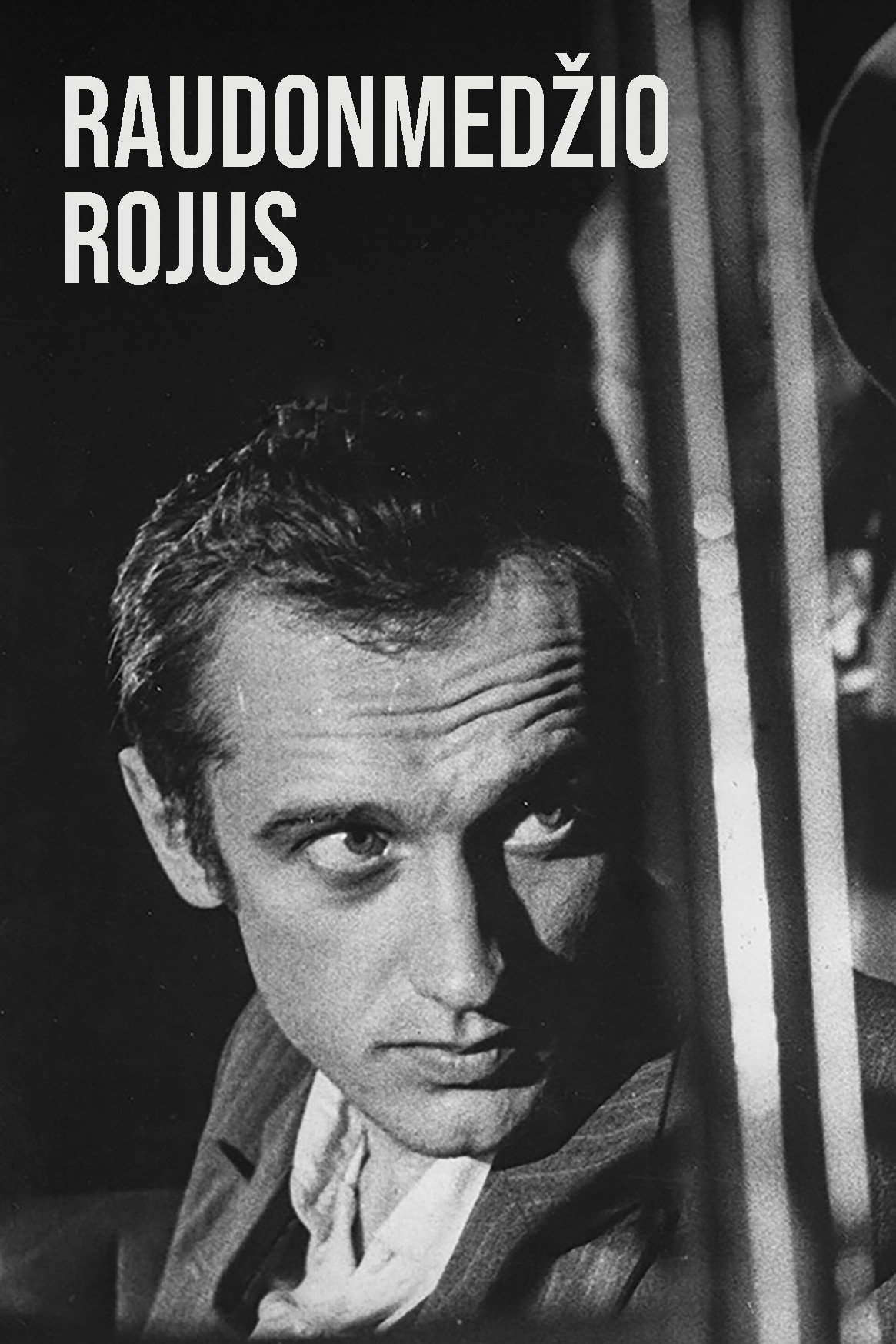 Raudonmedžio Rojus (1980) poster