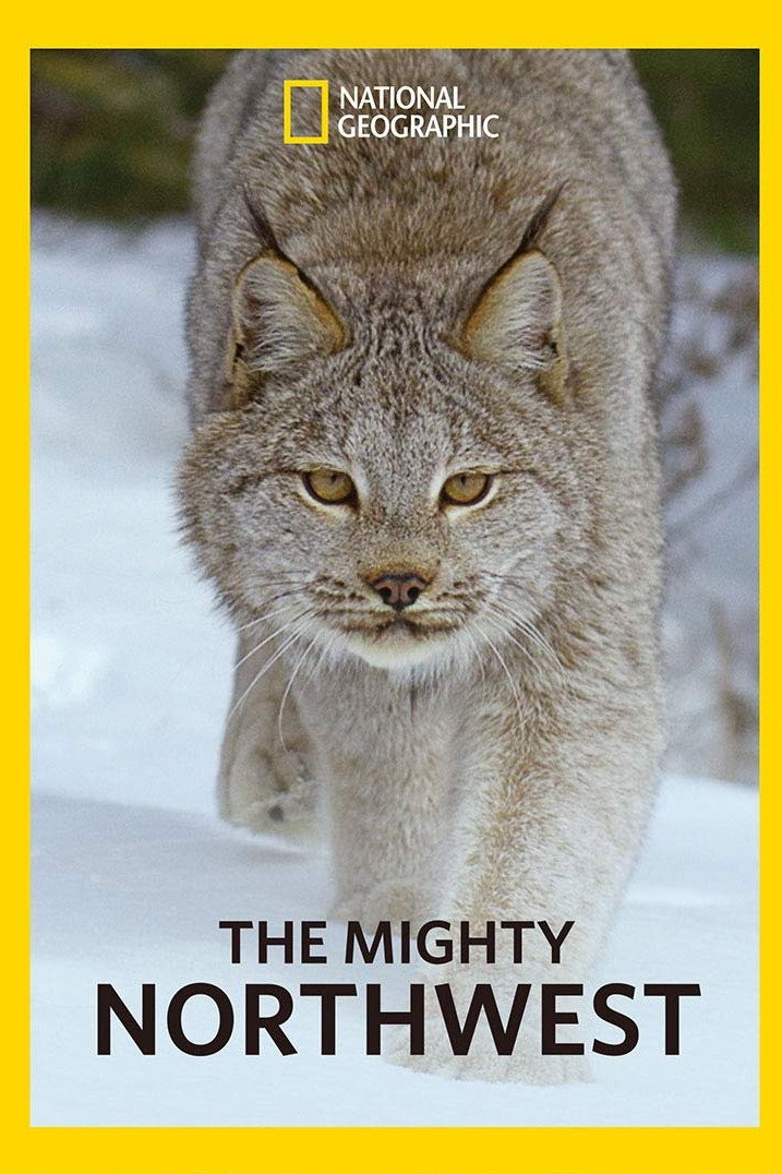 The Mighty Northwest (2018) poster