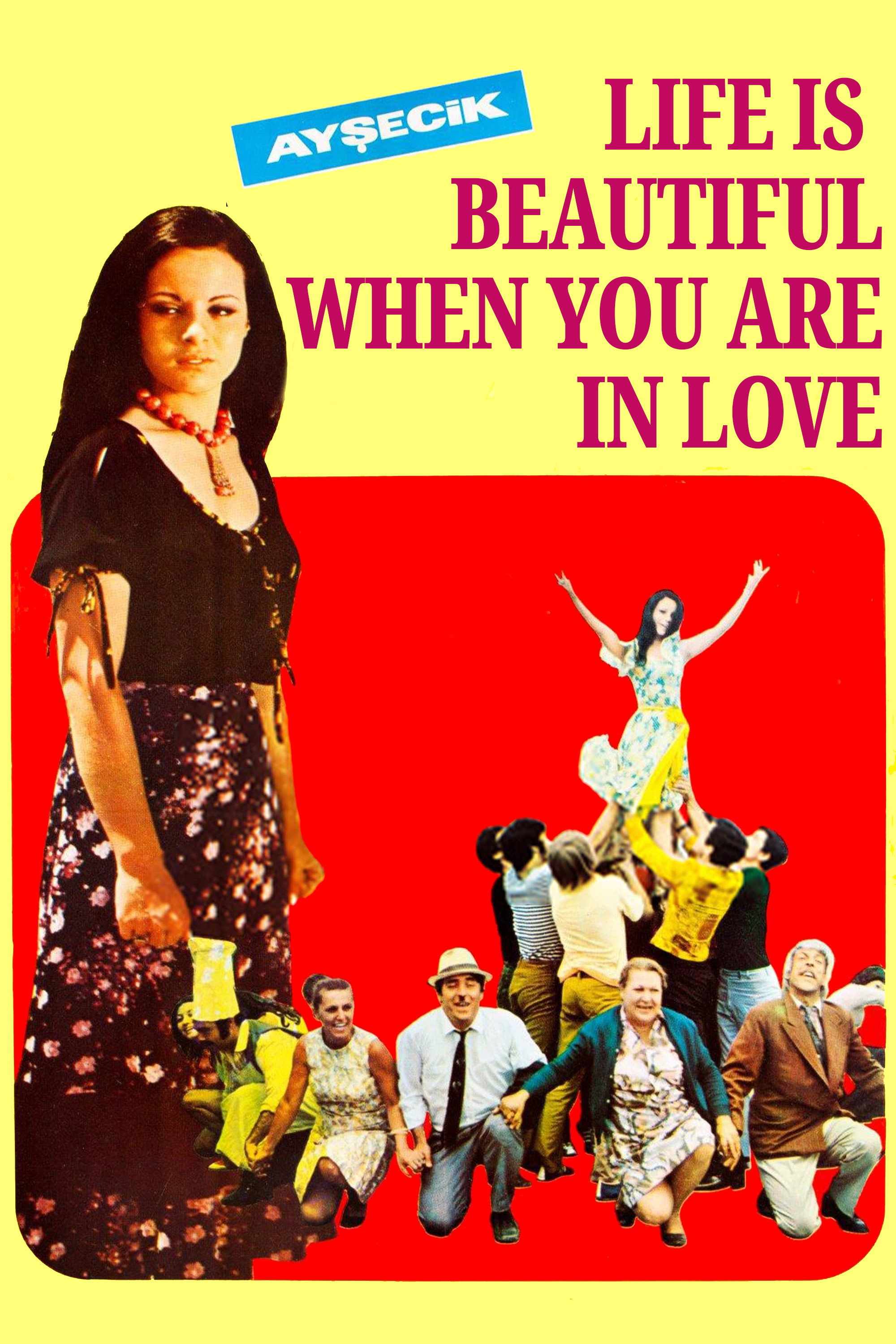 Life is Beautiful When You Are in Love (1971) poster