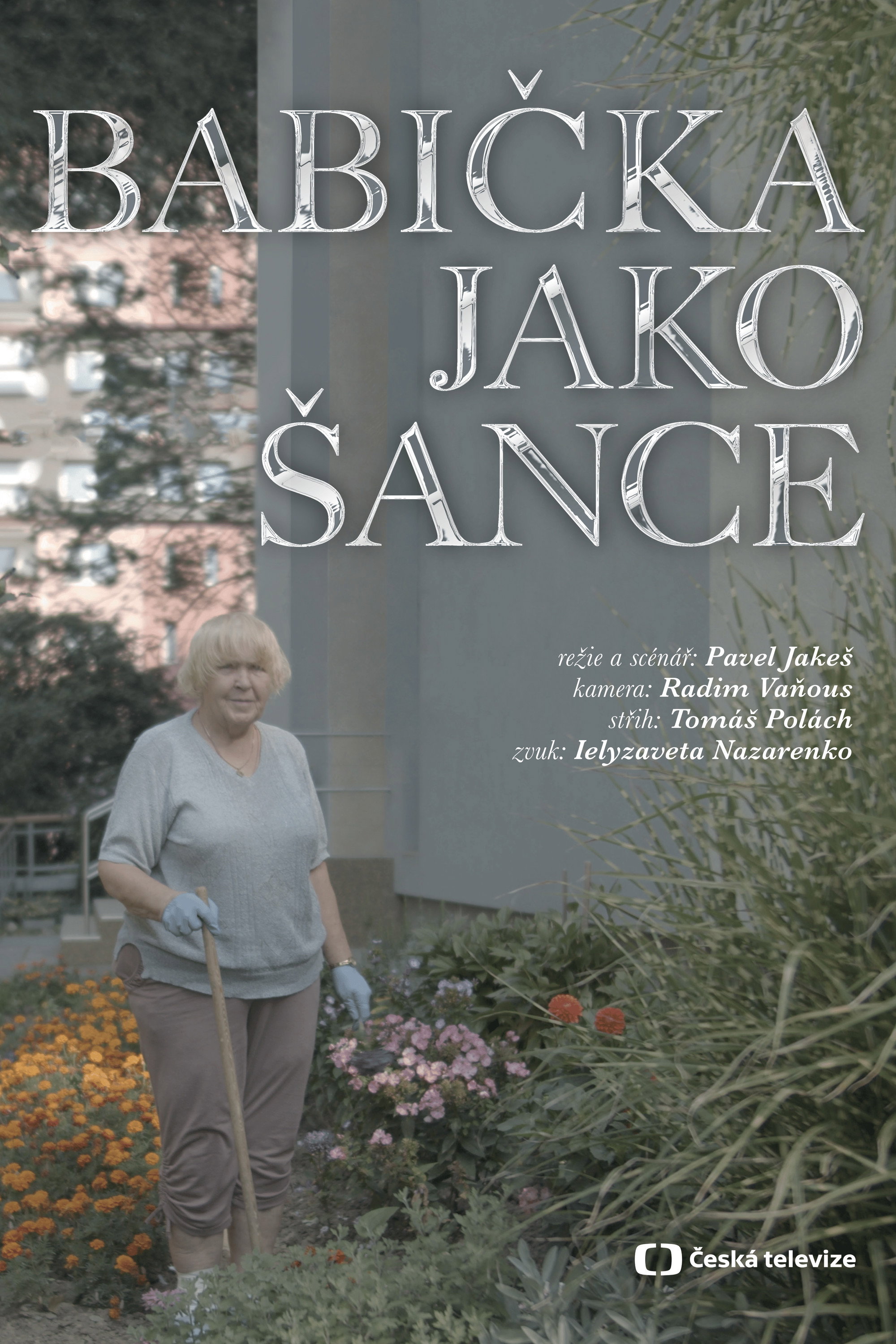 Babička jako Šance (2022) poster