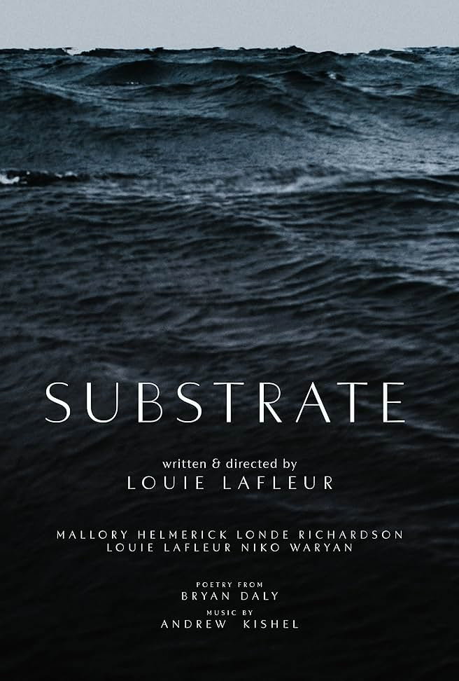 Substrate (2024) poster