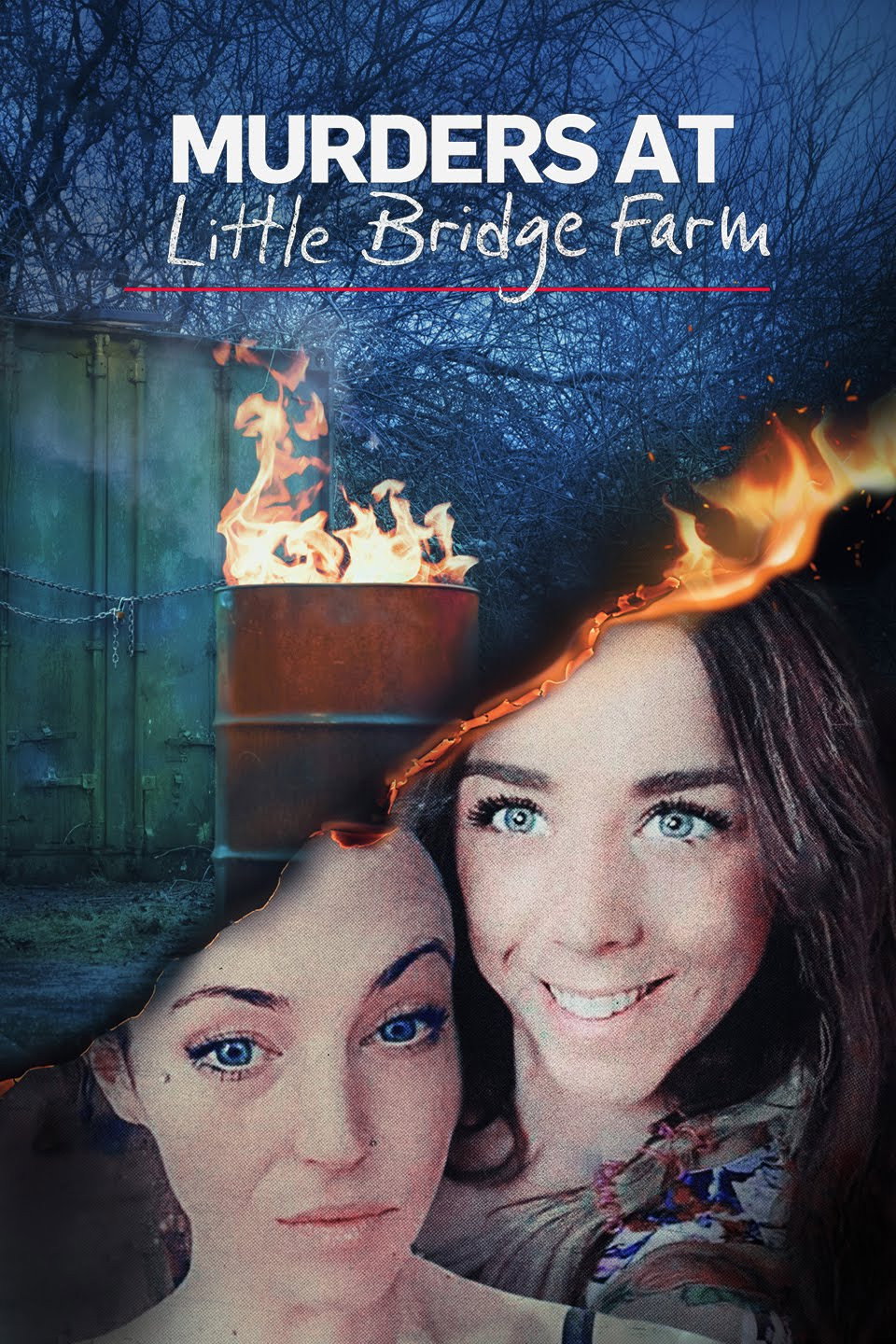 Murders at Little Bridge Farm (2024) poster