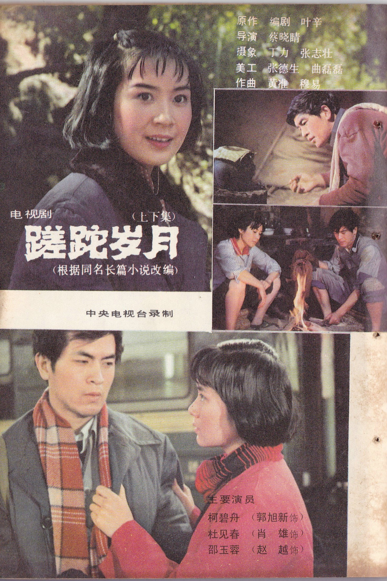 蹉跎岁月 (1982) poster