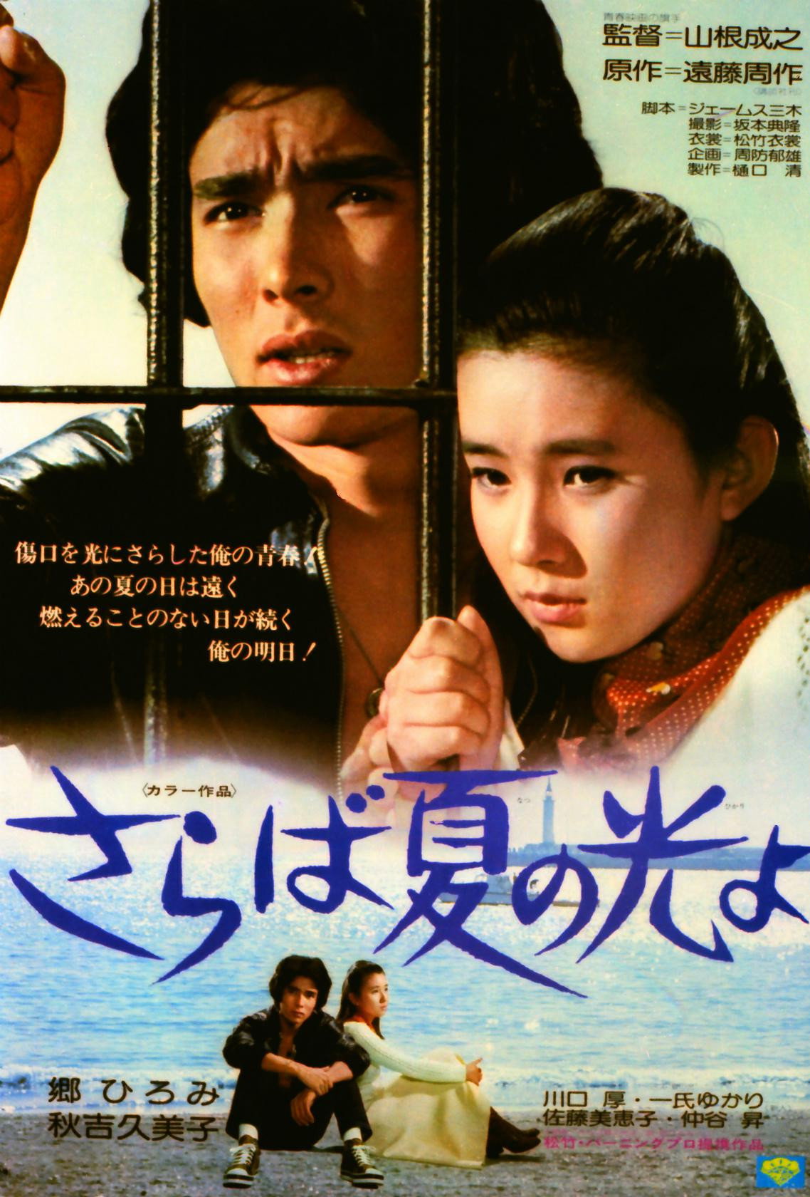Light and Shade of Youth (1976) poster