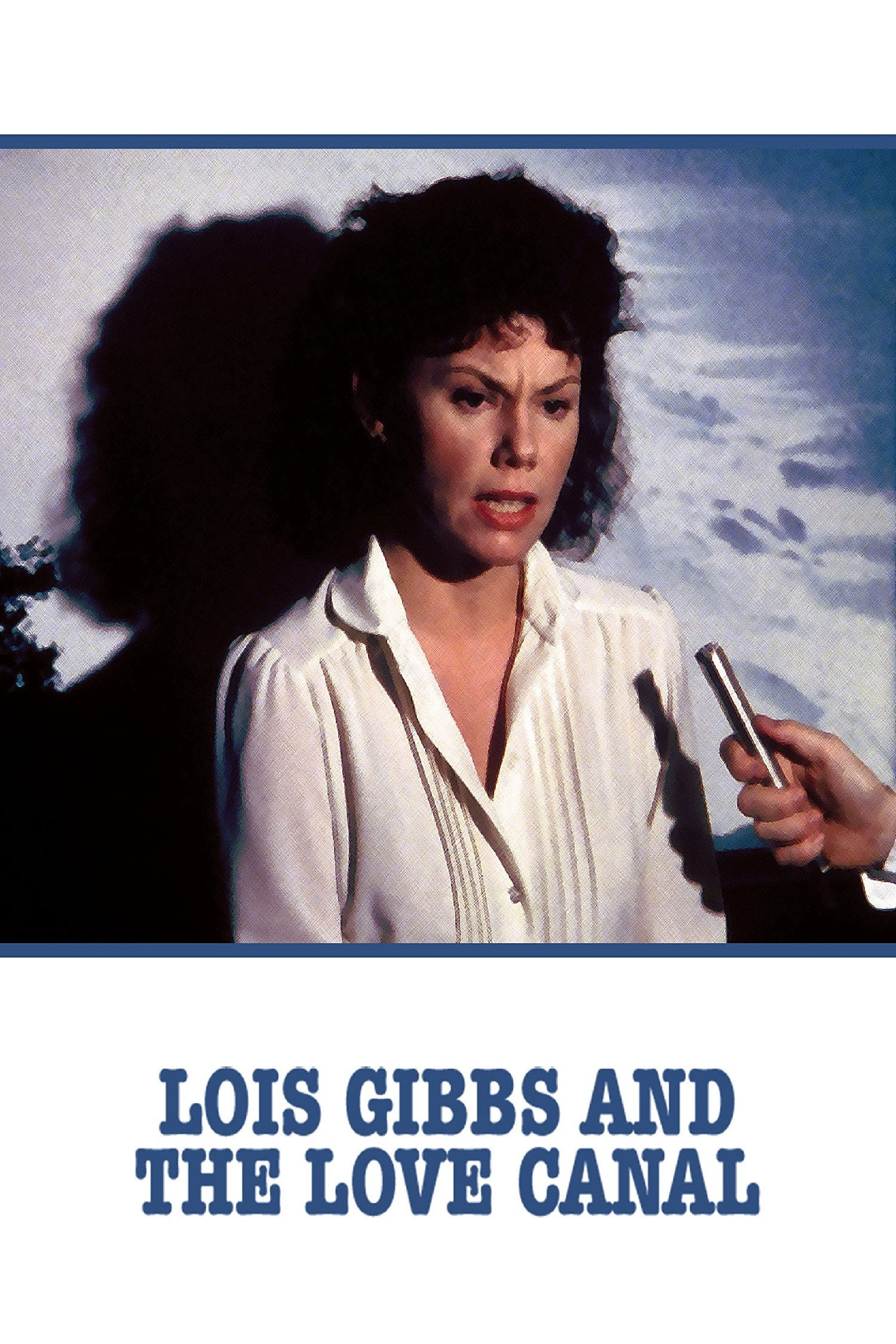 Lois Gibbs and the Love Canal (1982) poster