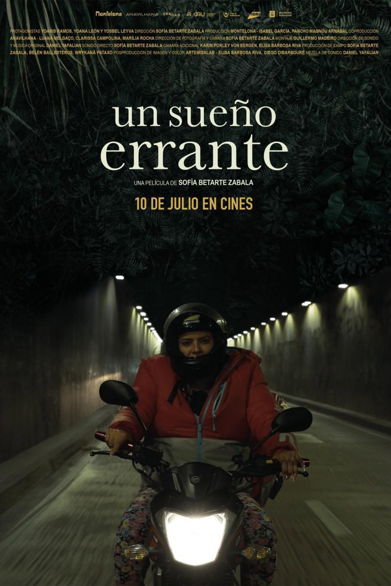 Un sueño errante (2025) poster