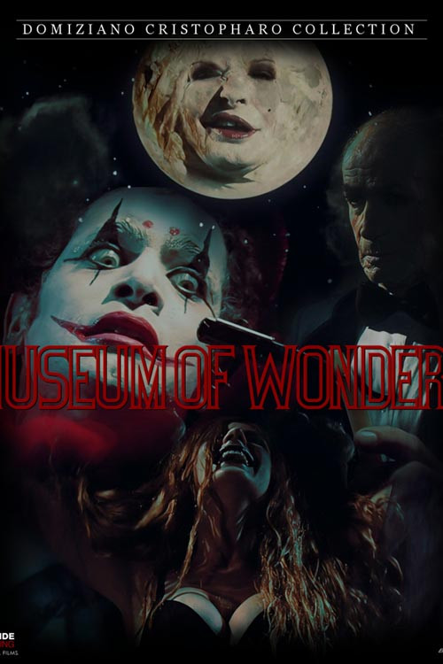 The Museum Of Wonders (2010) poster