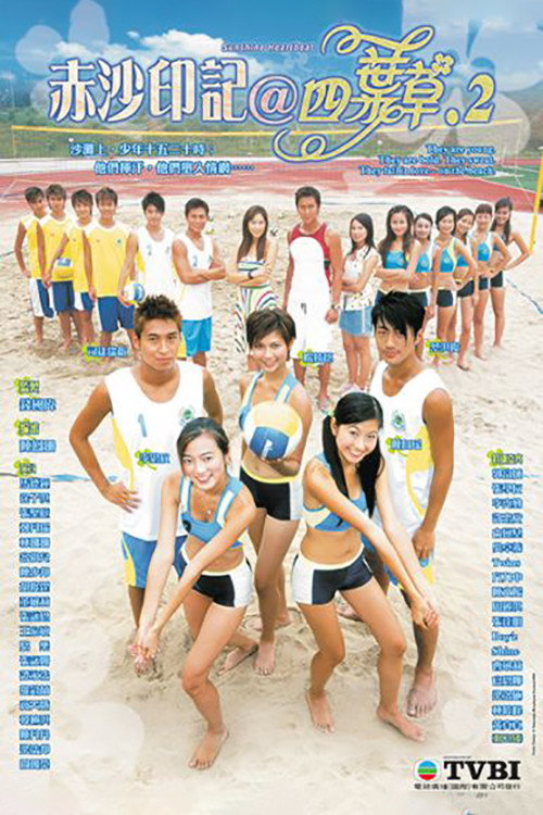 Sunshine Heartbeat (2004) poster