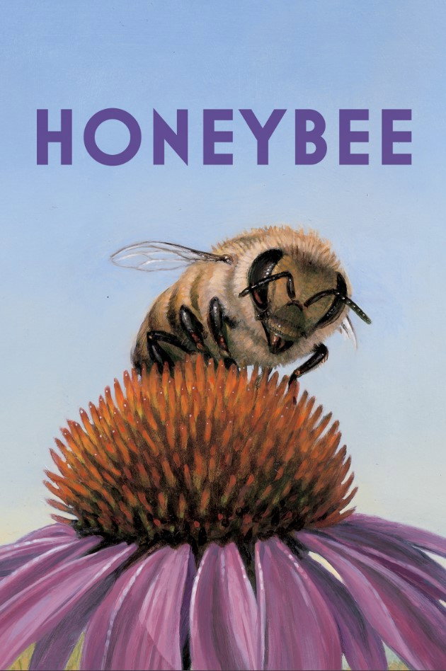 Honeybee (2022) poster
