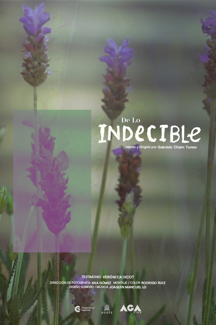 De lo Indecible (2022) poster