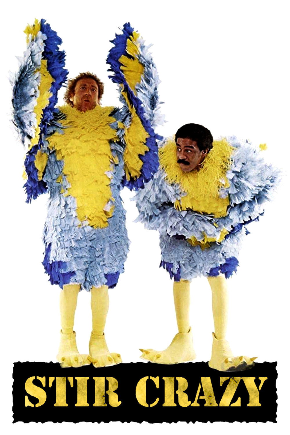 Stir Crazy (1980) poster