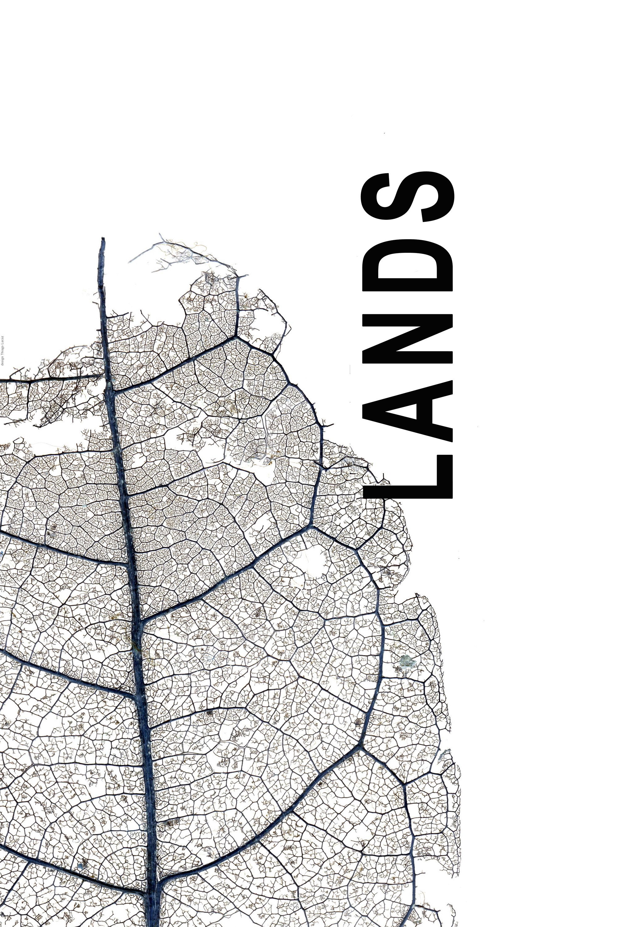 Lands (2009) poster