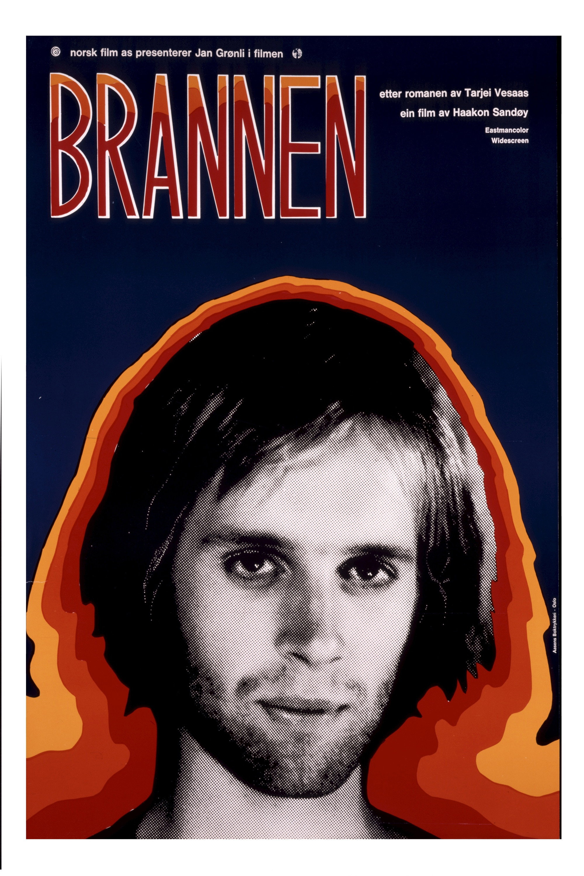 The Fire (1973) poster