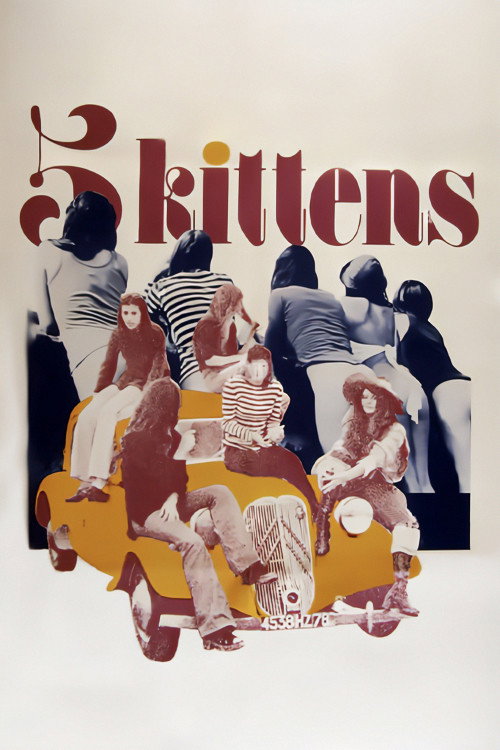 5 Kittens (1973) poster