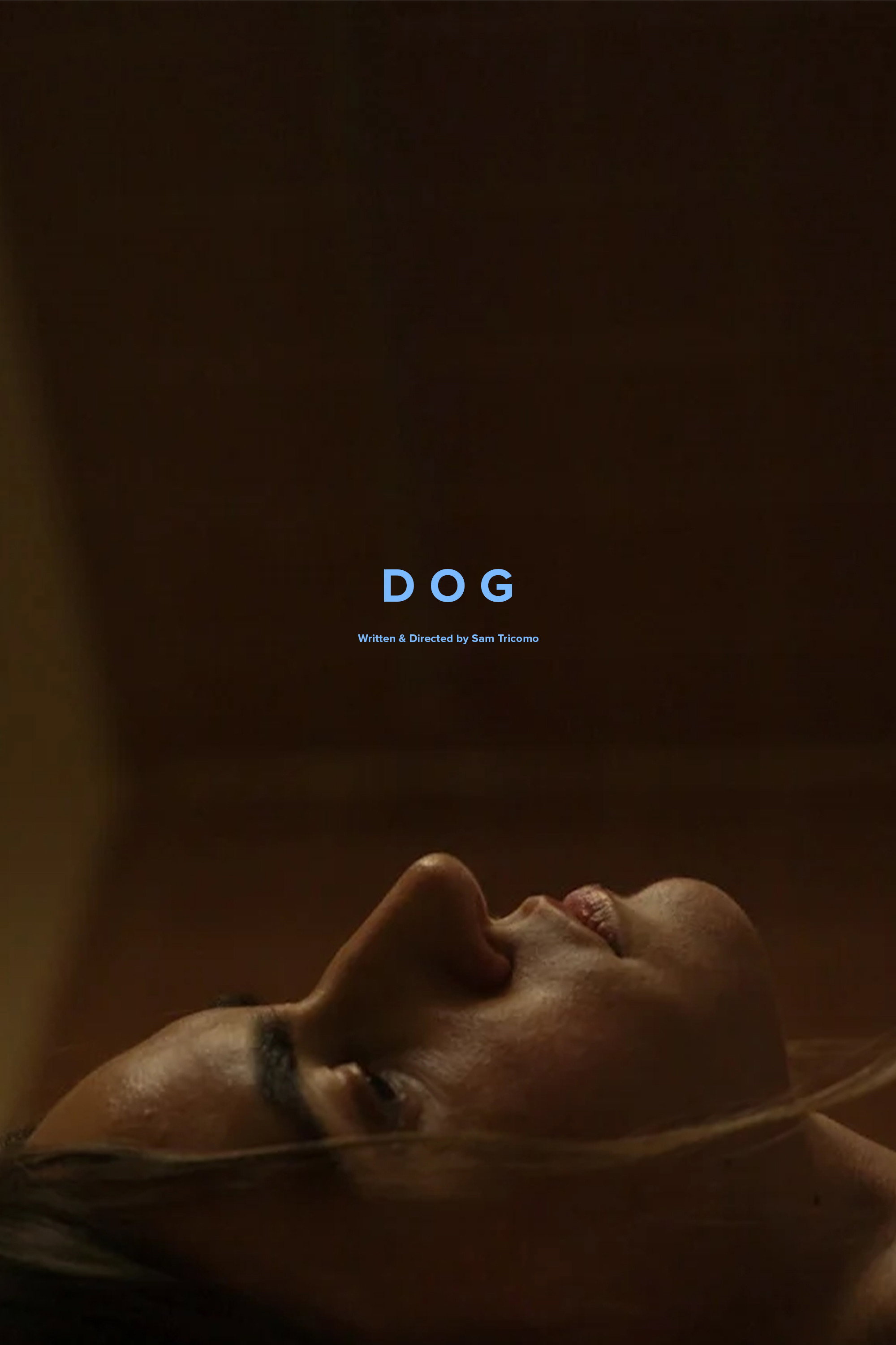 Dog (2024) poster