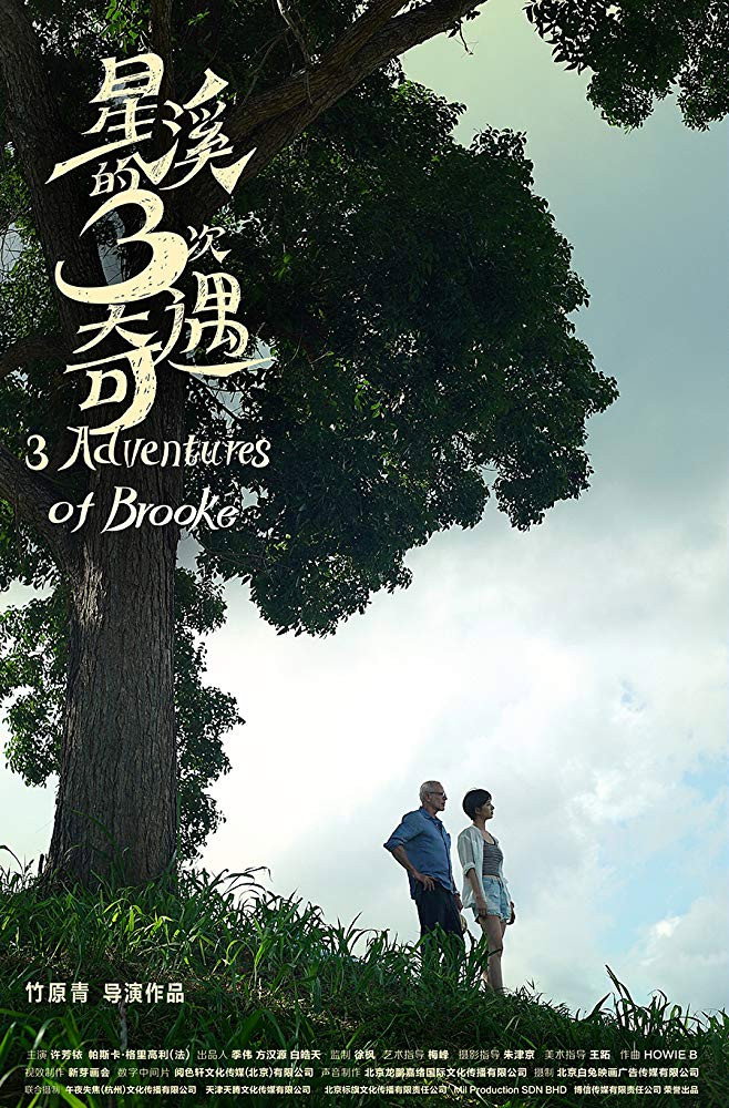 Three Adventures of Brooke (2019) poster