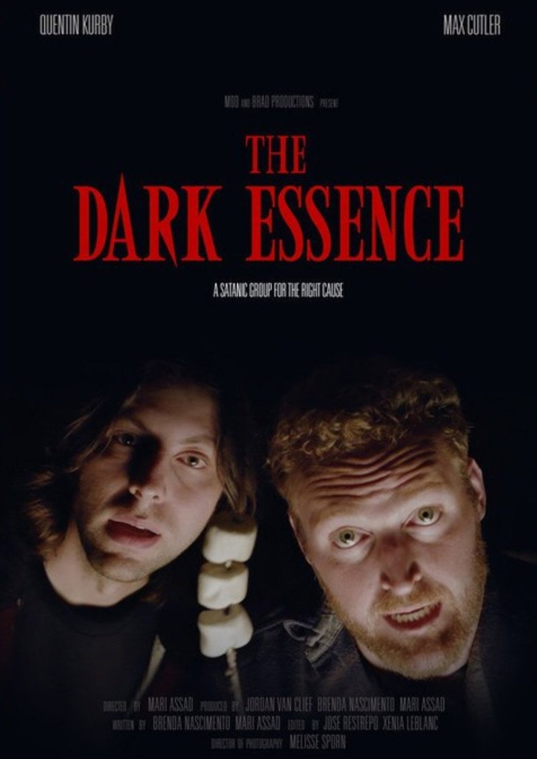The Dark Essence (2026) poster