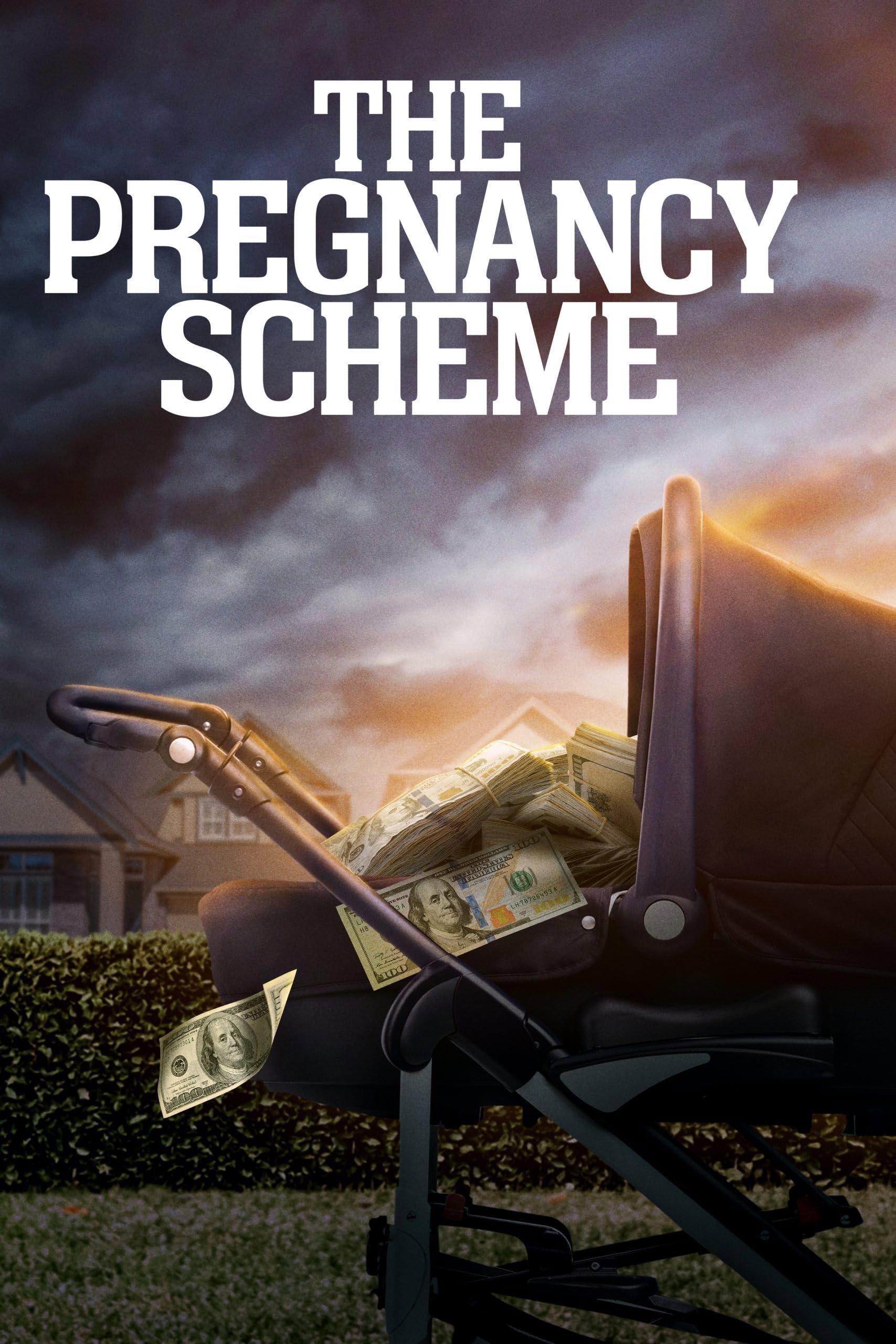 The Pregnancy Scheme (2023) poster
