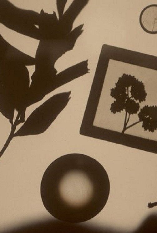 En Tibi Herbarium (Here, a Herbarium For You) (2023) poster