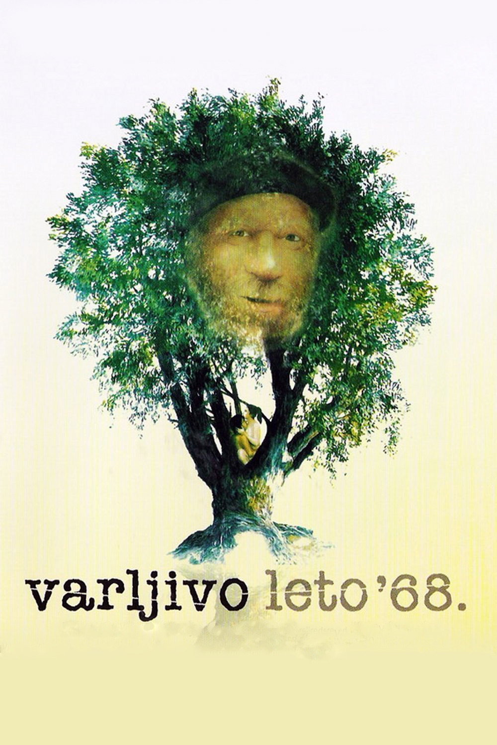 The Elusive Summer of '68 (1984) poster