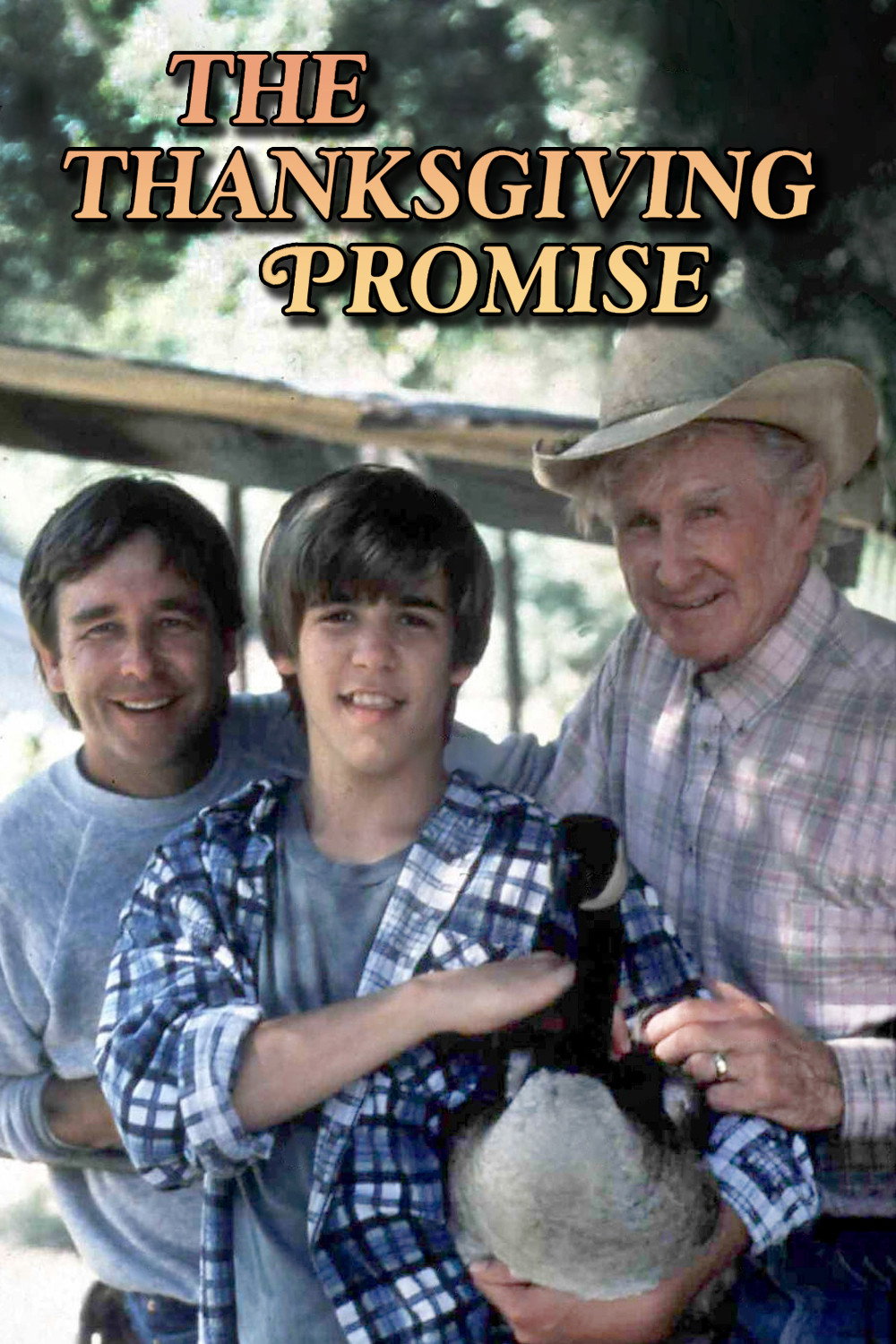 The Thanksgiving Promise (1986) poster